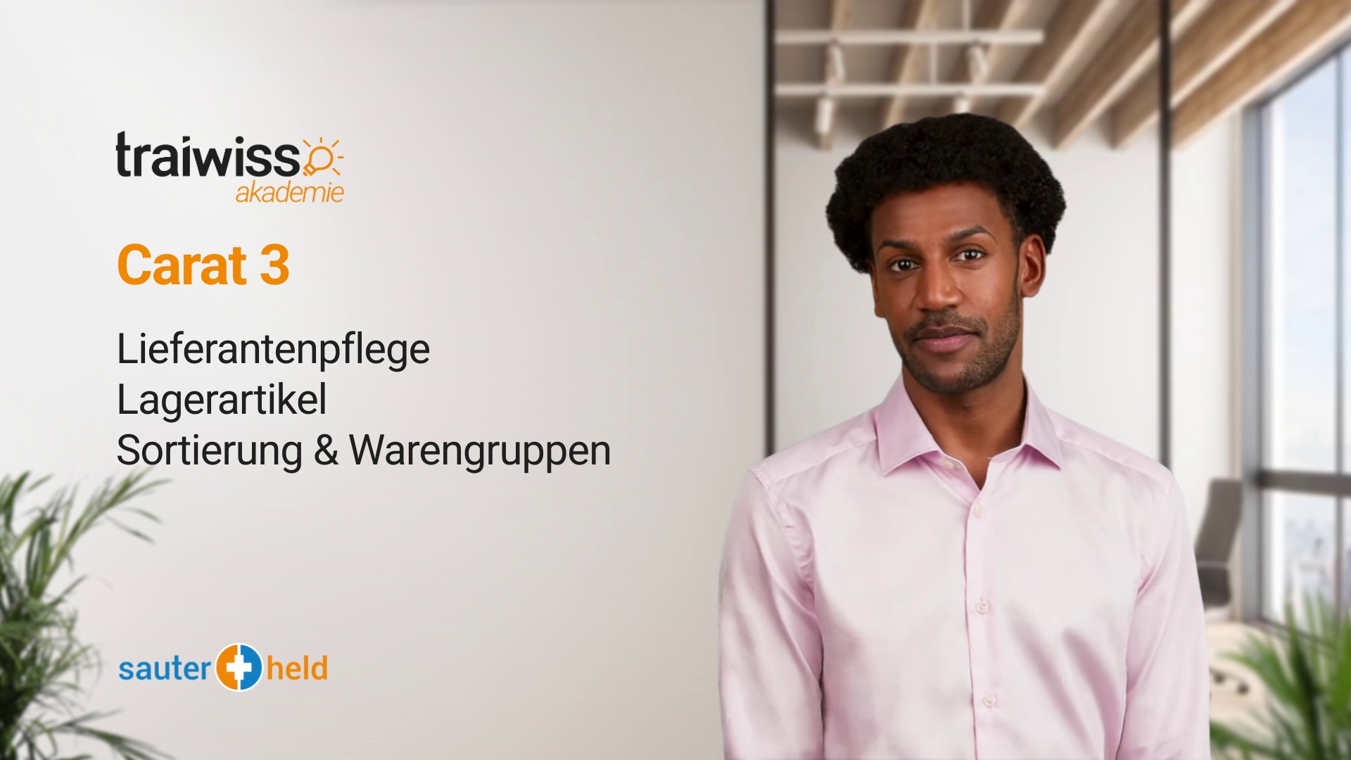 Carat 3: Lieferantenpflege, Lagerartikel, Sortierung & Warengruppen
